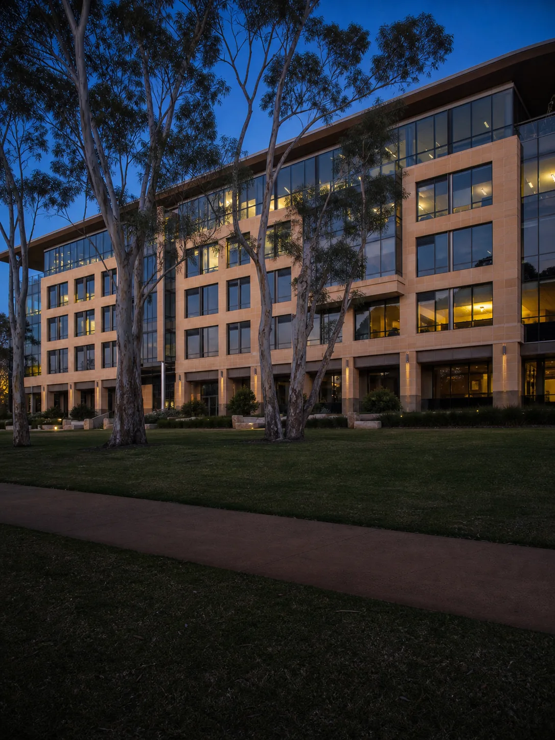 A modern office building at dusk, gum trees on the lawn